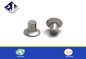 Padat Rivet