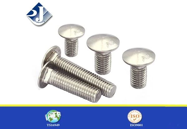 Carriage Bolts
